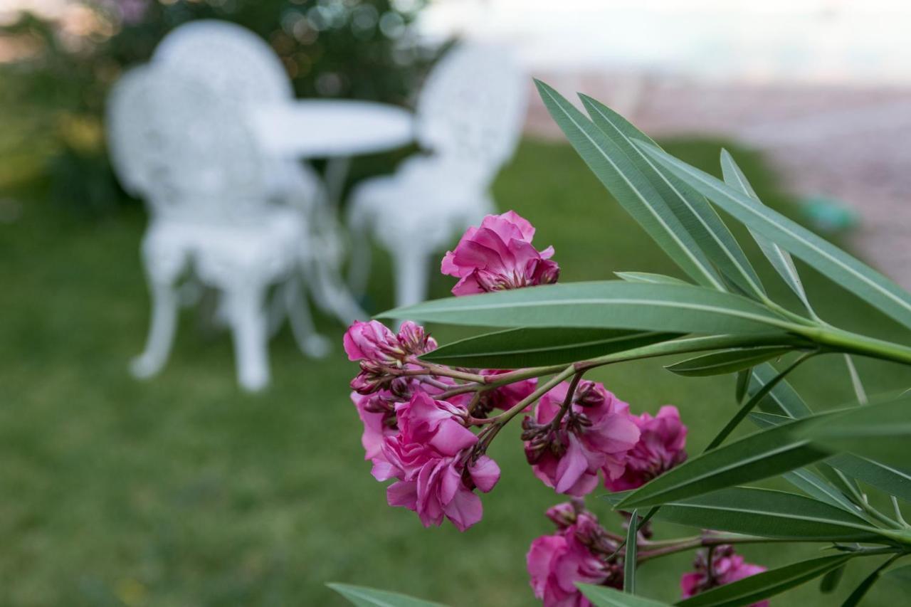 Corfu Senses 3* Agios Ioannis Peristeron (Corfu)