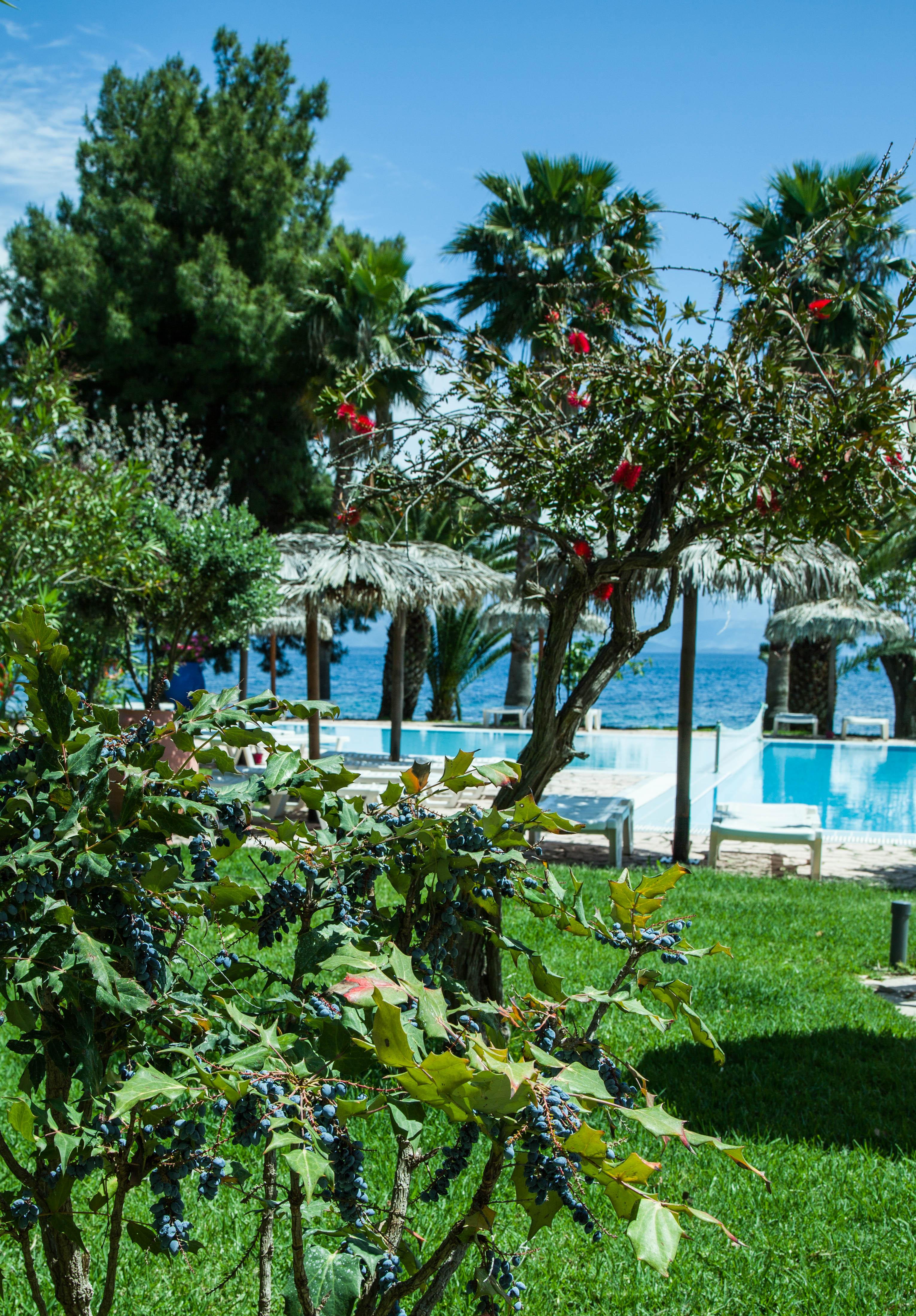 Corfu Senses Hotel 3*